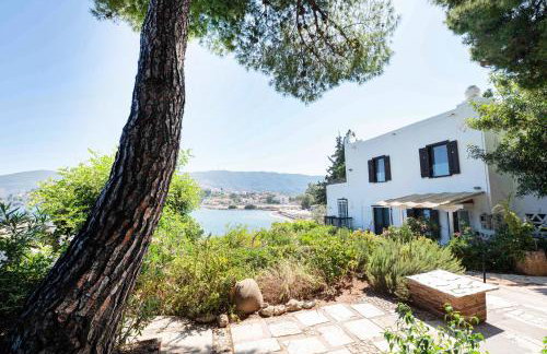 Villa Mimosa Poros Beachfront Apartments - Foto 3