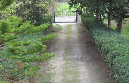 Rifugio della Pace Piano terra e Primo Piano - Photo 28