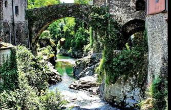 Wayne's house, a short walk to the waterfalls - Foto 17