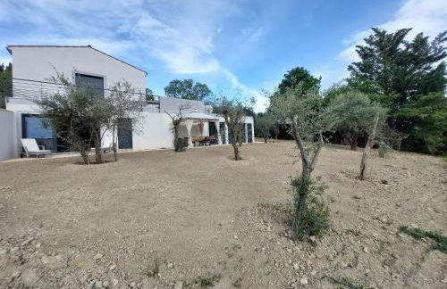 Les abeilles du Mont d'or - Foto 34