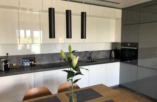 Apartament Opieszyn 16 - Foto 66