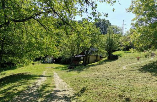 Forest paradise - Photo 8