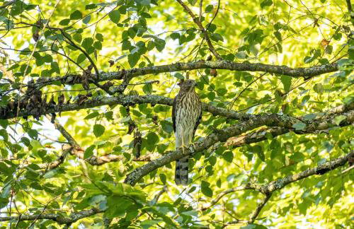 Luxury 3BD 2BA Home Near Tucson with Desert Views - Foto 26