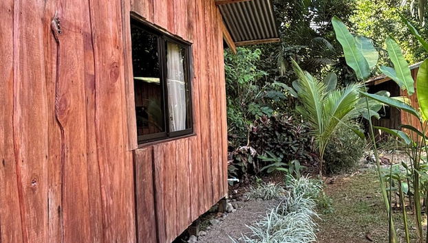 Citronela Lodge Corcovado - Foto 3, Zimmer