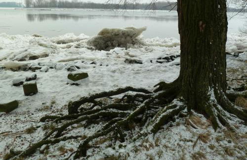 Ferienwohnung Am Walde - Photo 53