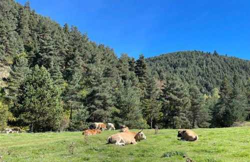 Apartamento DALIA - Foto 26