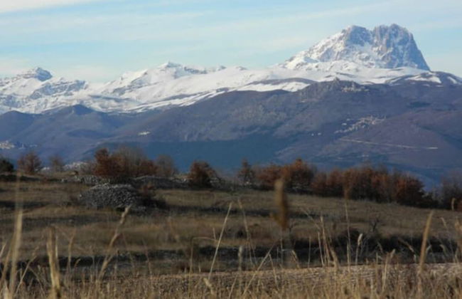 Collis Petri Relais - Photo 39