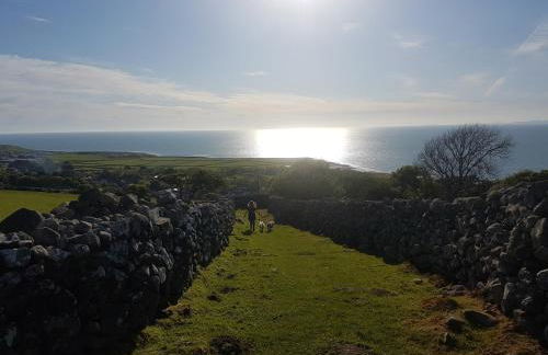 CABIN 8 Pet friendly Family glamping Seaview - Photo 14