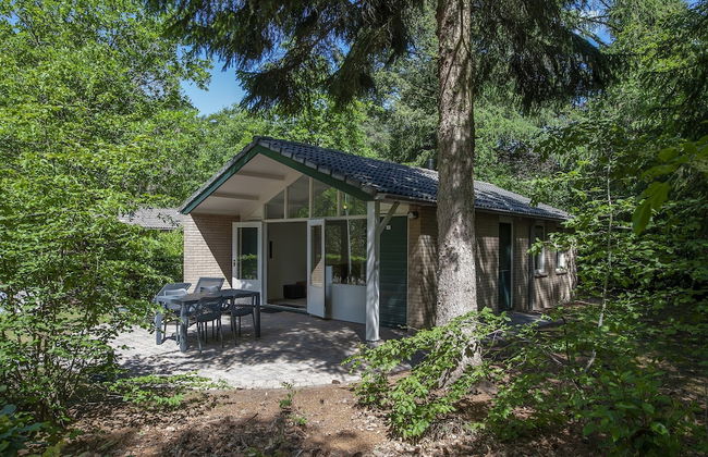 Comfortable Bungalow on the Veluwe - Foto 1