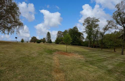 Blue Ribbon Homestead - Foto 75