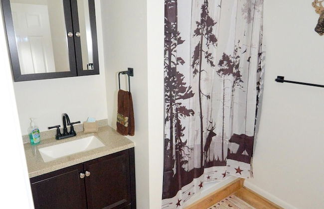 Chesnutt Cabin on the Cacapon River - Foto 15