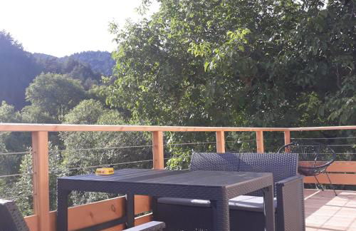 Domaine du vieux tilleul- Appartements - Gorges Tarn et Jonte - Foto 45