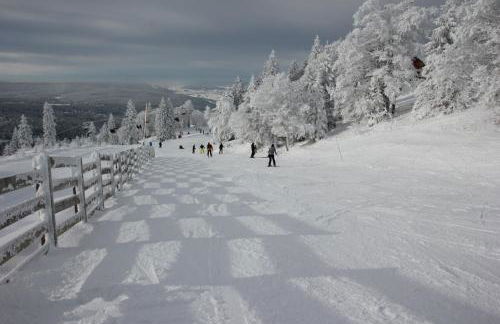 Studio 4 personnes, pied des pistes ski et VTT - Foto 30