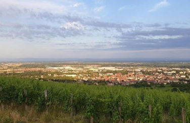 Le Coq De Champagne - Foto 24