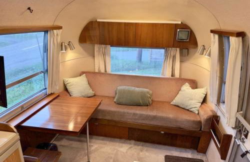 Secluded Private Retreat with Cabin & Vintage Airstream - Foto 7