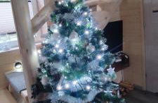 Domek Viking z prywatnym ogrzewanym basenem sauną oraz balią z jacuzzi - Foto 22