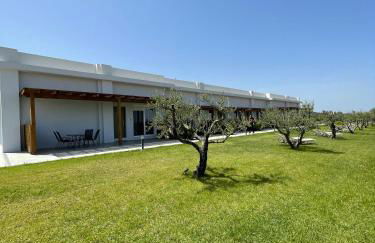 Olive Tree Garden - Foto 9