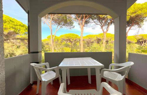 Residence Paguro - Foto 20