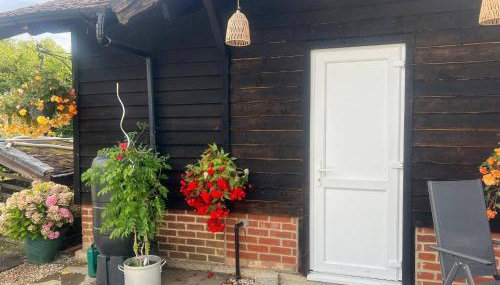 The Little Red Lion Thorpe - Foto 2