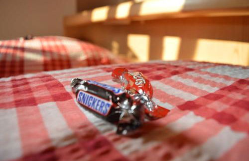 Ferienwohnung Schmidt, 95131 - Foto 18