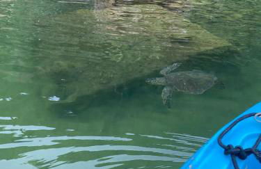 Vista Maravilhosa I - Foto 47