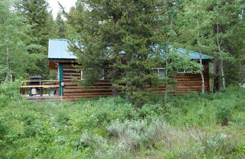 Remington Retreat by KABINO Dog Friendly FirePit Sleeper Sofa WiFi Grill - Foto 27