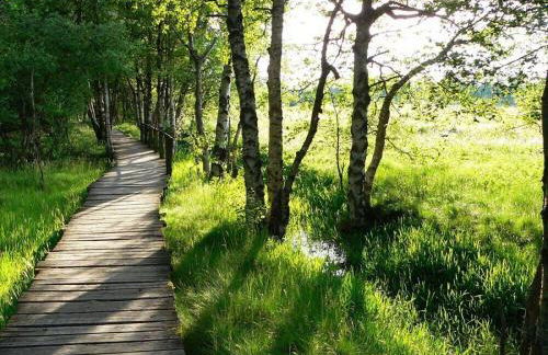 Am Turm Modern Retreat - Foto 63