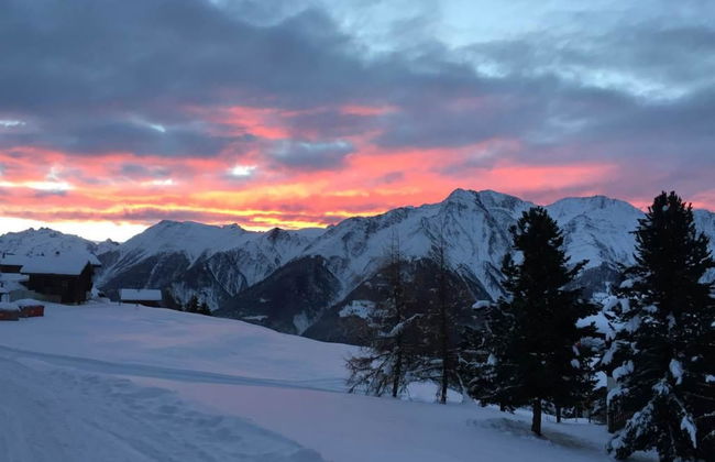 Amici 1. OG West - Foto 20