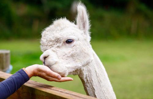 Pond Meadow - Foto 23