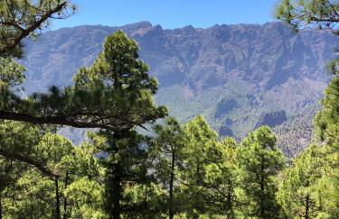 Mar de Lava - Foto 25