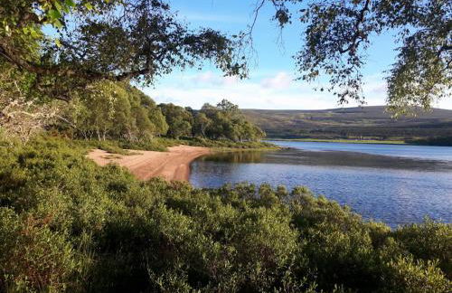 Auchencairn Cottage - Foto 26