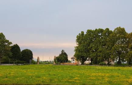 Villa Mainardi Agriturismo - Foto 19