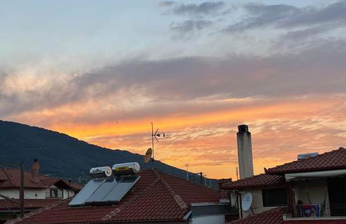 HOME OF OLYMPOS - Foto 34