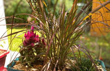 Strasbourg 3 pièces "Vue sur le jardin" - Foto 26
