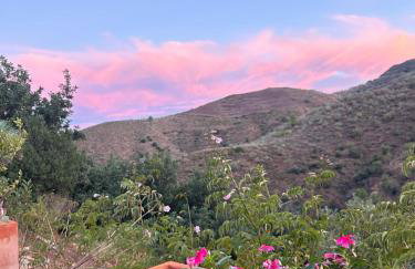 Cortijo Vacas Gordas Villas - Foto 68