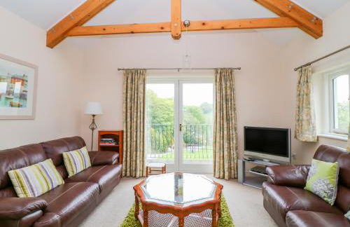 Forget-me-not - Foto 4