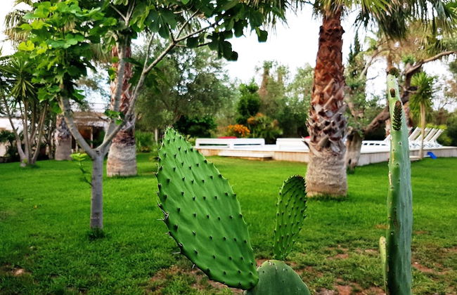 Villa Gina - Torre San Giovanni - Foto 17