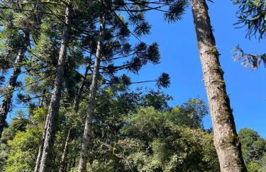 Memora Guesthouse Bateias - Casa Inteira e quartos em chácara - Photo 62