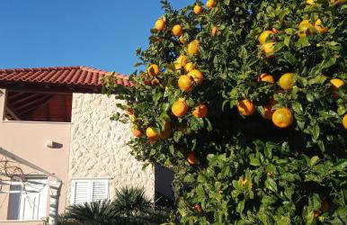 Apartments Karoma - Foto 15