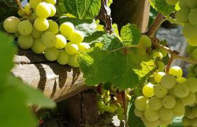 VILLA PALIOS STATHMOS - Foto 31