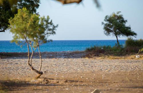 Aadonis traditional house on the Sea - Photo 56