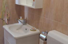 Ruzicin dvor - Photo 61