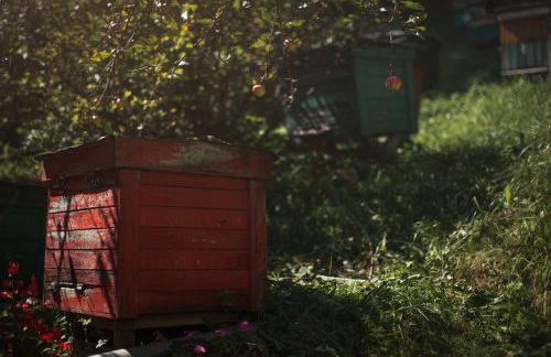 Pasieka - Dom Wypoczynkowy - Foto 47