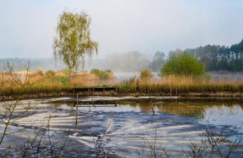 Ferienwohnung Seenglück - Foto 47