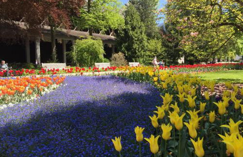 Ferienwohnung Bergblick - Foto 7