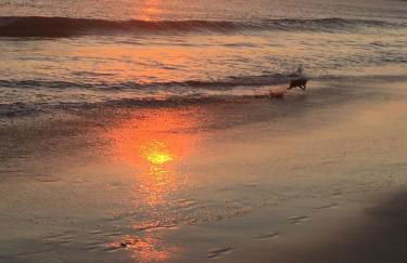 Entre o Mar e Lisboa - Foto 1