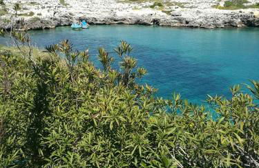 Badisco Vacanze - Foto 6