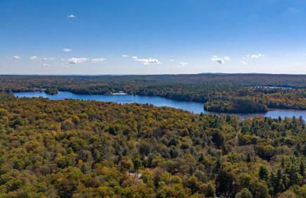 Serenity Grove Game Room Fire Pit Dog Friend - Foto 36