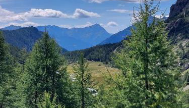 La casetta in Val Masino - Foto 2