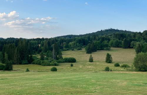 Ferienwohnung Auersbergsreut - Foto 20